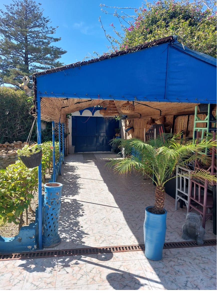 Pergola bleue de Dar Kamilia avec palmiers en pot et bougainvilliers en fleur